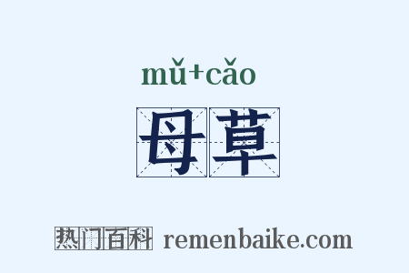 母草是什么意思的图片